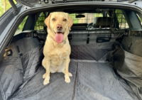 Summit Mesh Headrest Adjustable Dog Guard
