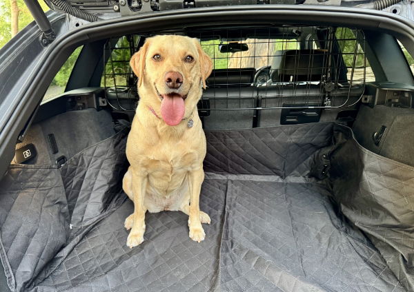 Summit Mesh Headrest Adjustable Dog Guard